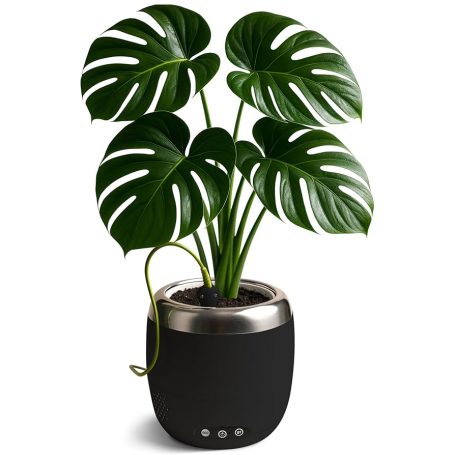 PlatPetz Charcoal 10 cm