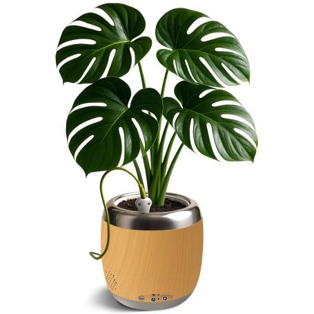 PlantPetz Sequia wood 10 cm 